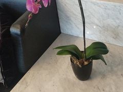 -上海虹桥西郊假日酒店