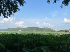 -云龙湖旅游景区