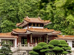 -深圳仙湖植物园
