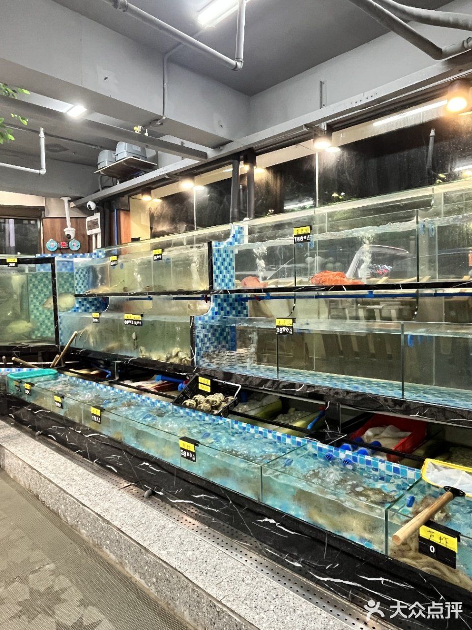 在深圳｜ 冬天就适合吃鸡煲