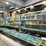 在深圳｜ 冬天就适合吃鸡煲