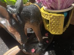 -慢丽江·云南野生菌土鸡锅(付家庄店)