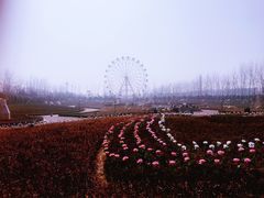 -云幽谷旅游区