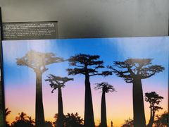 -纯真年代书吧(宝石山店)