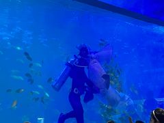 -常州海昌海洋探索馆