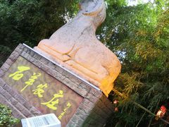 -石羊农庄