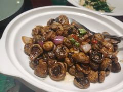 干煸口蘑-九十九顶毡房(阜石路店)