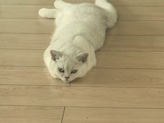 -联合动物医院(光谷诊疗中心)