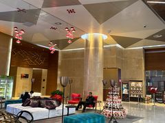 -南京禄口机场雅高铂尔曼大酒店