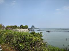 -贡湖湾湿地公园