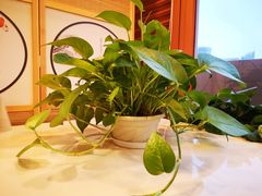 -蜀腾川·火锅鱼.烤鱼(新世界城店)