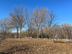 -野鸭湖国家湿地公园