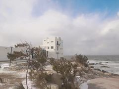 -海岛日记(养马岛店)