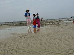 -北海金海湾红树林生态旅游区