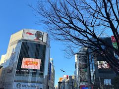 -涩谷全向十字路口