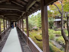 -天龙寺
