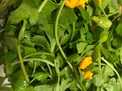 -海胆小馆(东北水饺·春柳店)