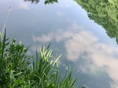 -桃花岭景区