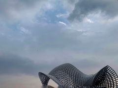 -南汇嘴观海公园