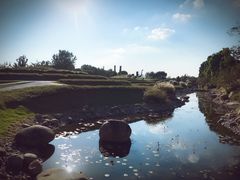 -南通洲际绿博园