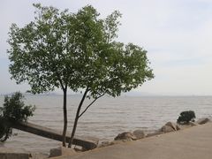 -深圳湾公园(南山区)