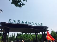 -黄海国家森林公园