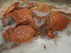 -威海蓝海御华大饭店·蓝钻美食自助百汇