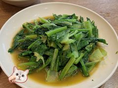 -杨三孃跷脚牛肉(美洲花园店)