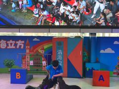 -成都浩海立方海洋公园