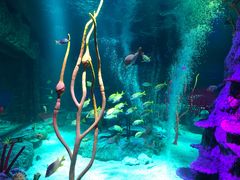 -沈阳海洋探索中心