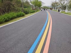 -羊山湖公园