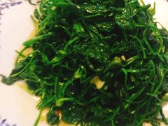 -呼吸森林·生态农庄农家乐私房菜