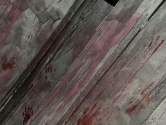-Xcape异时刻密室逃脱魔法互动(瑞虹天地太阳宫店)