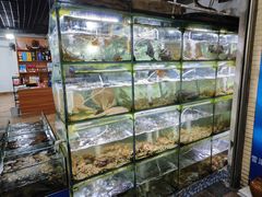-海之鲜大排档(东山海鲜金銮湾店)
