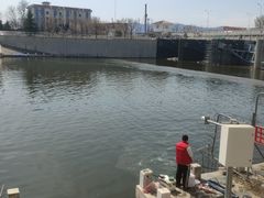 -尚庄度假村·庭台树下·户外烧烤·团建CS·轰趴营地(上庄水库店)