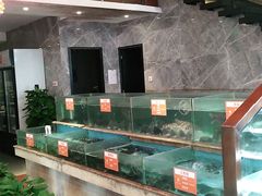 -饭怕鱼(阳光100店)