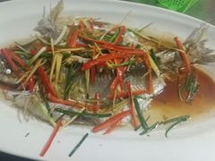 -柘林湖生态鱼馆