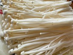 -老诚一锅(乔庄店)