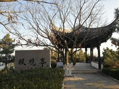 -石老人观光园