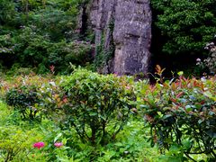-山王坪喀斯特国家生态公园
