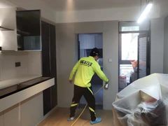 -绿色亿家除甲醛机构