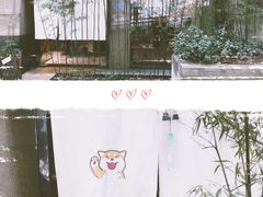 -柴务处·柴犬主题狗咖