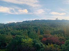 -上海佘山世茂艾美酒店