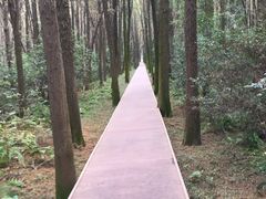 -同里国家湿地公园