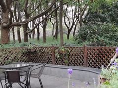 -昆山城市生态森林公园