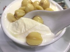 -义顺牛奶公司(新马路老店)