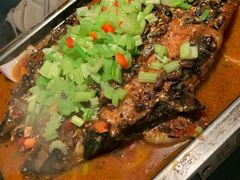 海鲈鱼-炉鱼(诸暨万风新天地店)