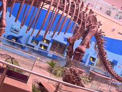 -陕西自然博物馆