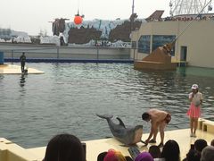 -秦皇岛乐岛海洋王国