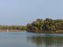 -大兴滨河森林公园